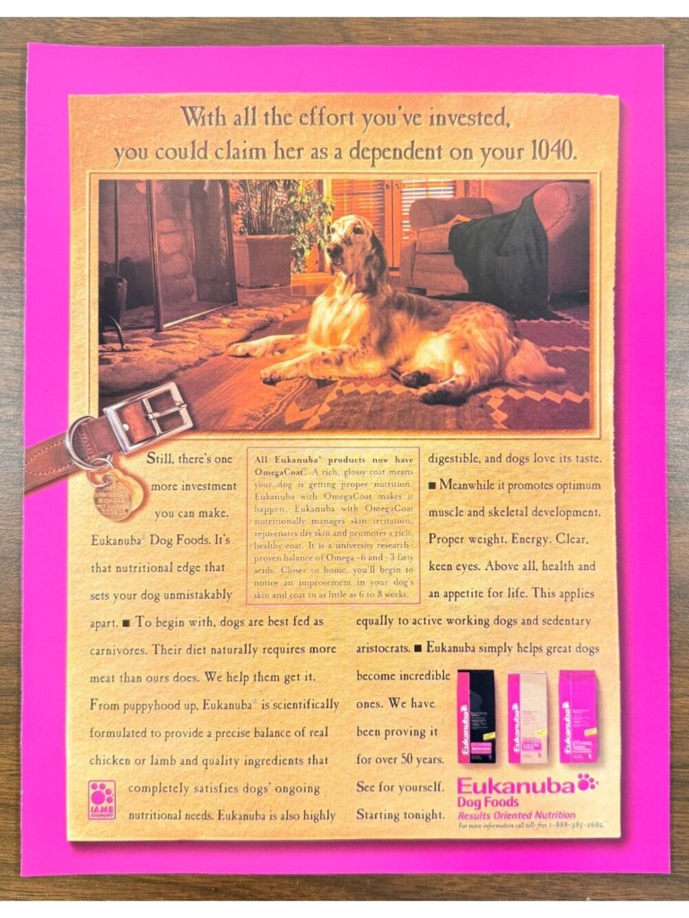 Vintage 1998 Eukanuba Dog Food English Setter Magazine Advertisement Print Ad